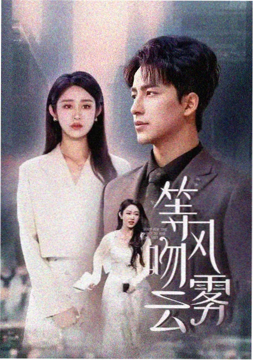97在线播放剧集《回声调查组》海报